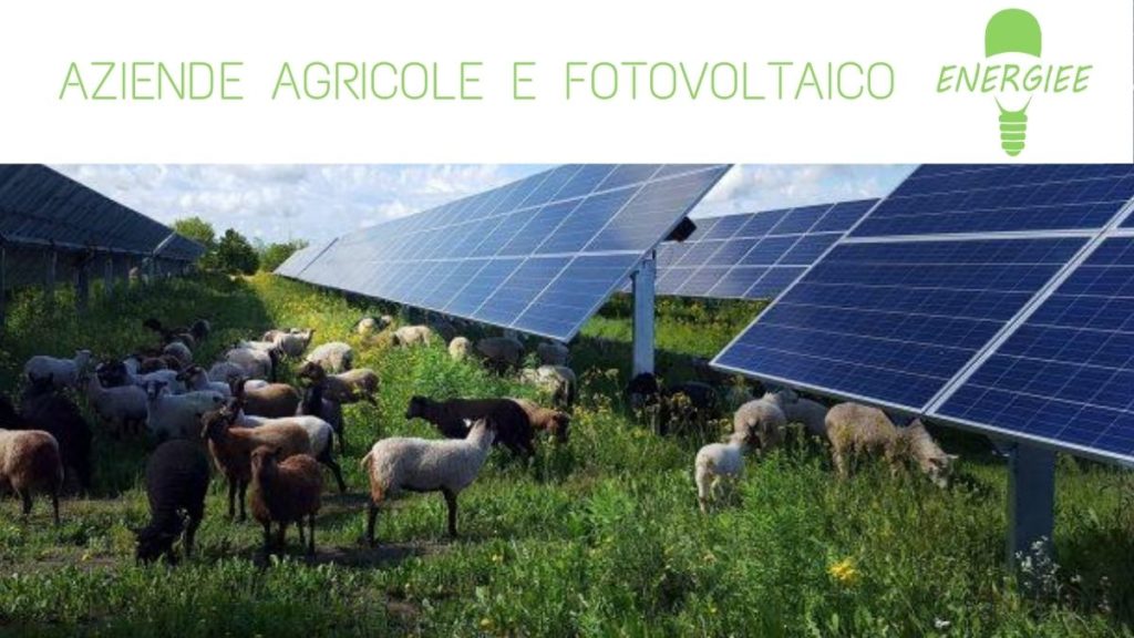 AZIENDE AGRICOLE E FOTOVOLTAICO